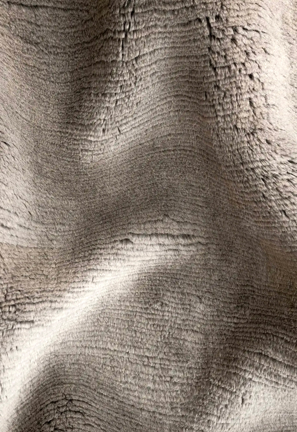 Pashmina 1